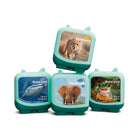 tonies - Figurine Audio - Ensemble Clever tonies - : Records du Monde Animal - Anglais-Divertissement sans écran pour les enfants de 3 ans et plus