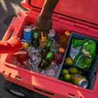 RovR - RollR 60 Glacière rigide à roulettes pintes avec poignée de remorquage - Pacifique sud-Spécialement conçu pour stocker les bouteilles de vin et de spiritueux en verre à la verticale