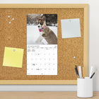 DateWorks - 2026 Mini Calendrier Mural 16 Mois - 7 po x 7 po - Chiots - Bilingue -Comprend des pages mensuelles de janvier à décembre 2026, ainsi que les 4 derniers mois de 2025