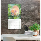 Mead - Calendrier décoratif Chatons 2027, 12 po x 12 po, bilingue-Le calendrier fermé mesure 12 po L x 12 po l pour un affichage mural facile