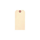 Accuform Signs - Manille Étiquettes vierges - Papier cartonné - 1-7/8 po L x 3-3/4 po H - paquet de 100-Construit en papier 10 points