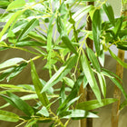 HOMCOM - Arbre de bambou artificiel 4 pi pour décoration intérieure de la maison - vert - lot de 2-Nécessite peu d'entretien 