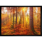 Golden Forest - Toile encadree - 31" x 22"-Impression d'art de haute qualité avec passe-partout et encadrement professionnel