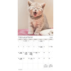 DateWorks - 2026 Calendrier Mural 16 Mois - 12 po x 12 po - Chatons Câlins - Bilingue -Animaux