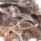 Creativity Street Plumes naturelles - Couleurs naturelles assorties - Tailles assorties - 1/2 oz, Paquet de 3-Couleurs naturelles, Pas de colorants