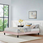 Modway - Reign Performance Velvet Cadre complet de plate-forme, Rose-Poutre centrale renforcée et jambes de soutien