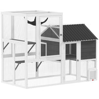 PawHut - Enclos extérieur pour chat Catio, 63 po L grande maison pour chat avec porte à 4 voies-Un design à deux zones avec des plateformes offre des espaces pour se reposer, jouer et grimper 

