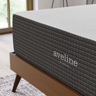 Modway - Aveline 14 po Mousse à mémoire de forme Matelas King-Housse amovible à fermeture éclair en tricot extensible