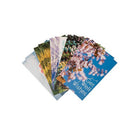 Jam Paper - Cartes de sympathie, Assortiment Nature – Prompt rétablissement, Paquet de 10-Conception : Assortiment Nature Get Well
