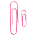 JAM Paper - Paquet combiné de trombones colourés - standard et jumbo - trombones roses - 1 paquet de 100 et 1 paquet de 75-Taille : 1 pouce (standard/régulier) et 2 pouces (jumbo) | Gardez vos piles de papier organisées avec des trombones colourés