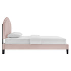 Modway - Daisy Performance Velvet Lit plateforme Queen, Rose-Revêtement en velours de performance