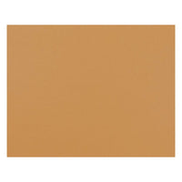 Pacon - Carton Bristol 4 plis, 22 po x 28 po, orange, paquet de 25-Tableau ferroviaire 4 couches de haute qualité, idéal pour la construction, le montage, le pochoir, les affiches ou les tableaux d’ancrage