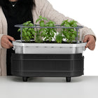 Permasteel - Jardinière à arrosage automatique avec supports de fixation - noir-Bouchon de drainage