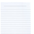 Hilroy - Cahier Be Berry – 10 1/2 po H x 8 po l – 160 pages – Vert-6
