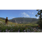 Kingdom Come: Deliverance pour PlayStation 5-9