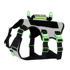 Healthy Harness - Harnais Absolute Adventure - Argent - L-Conception anti-traction et anti-étranglement – ​​prévient les pressions néfastes sur le cou et la gorge de votre chien pour des promenades plus sûres et plus saines