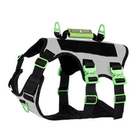 Healthy Harness - Harnais Absolute Adventure - Argent - L-Conception anti-traction et anti-étranglement – ​​prévient les pressions néfastes sur le cou et la gorge de votre chien pour des promenades plus sûres et plus saines