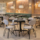 Zuo - Novi Chaise de salle à manger - Gris tourterelle - Ensemble de 2-Supporte jusqu'à 220 lb