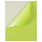 Jam Paper Étiquettes autocollantes pleine page Astrobright, 8 1/2 x 11 po, vert Terra, 10/paquet-10 par paquet