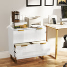 HOMCOM - Classeur 2 tiroirs avec rails réglables pour dossiers format lettre/A4/légal - blanc haute brillance-Présente un design moderne et luxueux avec une finition brillante et des accents dorés 