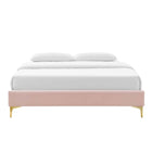 Modway - Sutton Performance Velvet Cadre de lit queen-lit, Rose-Système de soutien en lattes de bois