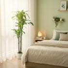 HOMCOM - Arbre dracaena artificiel 5 pi pour décoration intérieure - vert-Couleur : Vert 