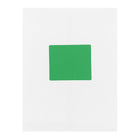 JAM Paper -'“Étiquettes postales, 4 x 3 1/3 po, vert gamma Astrobright, 240 par paquet-5