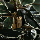 HOMCOM - Arbre artificiel ficus 4,3 pi pour décoration intérieure - vert-De l'herbe et du terreau en ciment sont inclus, rendant l'ensemble plus stable et réaliste 