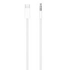 Apple - Adaptateur de câble audio USB-C vers 3,5 mm-1 connecteur audio mâle 3,5 mm