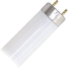 Northern Stars - Tube Fluorescent T8 F32T8/835 3500K Culot Moyen bi-broches 32W 2950LM 85 CRI, 48"- Givrée - 25 Paquet-Tube Fluorescent 48" T8 Avec Culot Moyen à Deux Broches