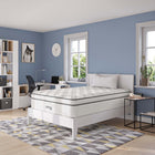 Modway - Jenna 14 po Ressorts et mousse Matelas complet-Couche de mousse réactive de 1 po