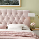 Modway - Annabel Touffe de diamant Performance Velvet Tête de lit King, Rose-Élégants boutons touffonnés en losange