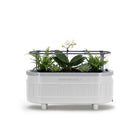 Permasteel - Jardinière à arrosage automatique avec supports de fixation - blanc-Supports muraux et pour rampes