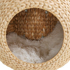 PawHut - Étagère murale pour chat, condo mural avec coussin - beige-Idéal pour grimper, se percher et se détendre 