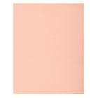 North American Paper - Carton bristol 2 épaisseurs, 22 po x 28 po, 48 feuilles, rose-22 po x 28 po