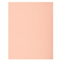North American Paper - Carton bristol 2 épaisseurs, 22 po x 28 po, 48 feuilles, rose-22 po x 28 po