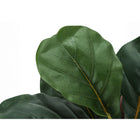 Monarch Specialties - Plante Artificielle - 28 po H - Arbre À Violons - Touche Réelle - Feuilles Vertes - Panier Tressé Beige-Garantie limitée de 5 ans contre les défauts du fabricant