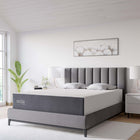 Modway - Mila 12 po Matelas California King-Mousse de soutien de 11,22 po