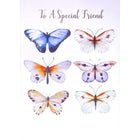 Mill Brook Studio - Cartes de souhaits Fête Ami 5-3/8 po x 7-3/4 po / Enveloppes - paquet de 18-Cartes de souhaits qualité boutique