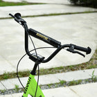 Aosom - Trottinette pour enfants avec guidon réglable, freins avant et arrière doubles - vert-Guidon réglable, adapté aux enfants de plusieurs âges 