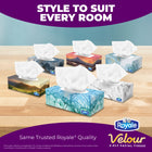Royale - Mouchoirs Velour à 3 épaisseurs - 82 mouchoirs/boîte - Paquet de 48-8