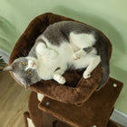 PawHut - Arbre à chat 41 po avec poteaux à griffer, lit, condo - brun-Kit anti-basculement inclus pour une sécurité et une stabilité accrues 