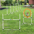 PawHut - Équipement d’agilité pour chien 3 pièces pour intérieur et extérieur-Équipement d’agilité pour l’exercice des chiens, l’entraînement aux expositions, l’entraînement à l’obéissance, l’entraînement au saut, le jeu occasionnel et l’initiation 