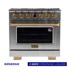 Kucht - 36 po Série KXP Cuisinière double énergie Propane - Acier inoxydable/Or-Cuisinez et faites cuire comme un professionnel grâce au four à convection extra-large de 5,2 pi³, doté de cinq positions de grille et d’une fenêtre de four surdimensionnée