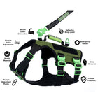 Healthy Harness - Harnais Absolute Adventure - Vert - XL-Plusieurs points d'attache pour la laisse : un mousqueton à l'avant pour le dressage, un mousqueton à l'arrière pour les promenades occasionnelles et une poignée robuste pour les urgences