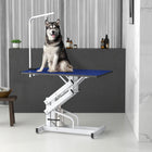 PawHut - Toilettage pour animaux à hauteur réglable - bleu-Le cadre en style Z et la base en style H sont professionnels et stables 