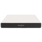 Modway - Aveline 8 po Matelas Queen-Garantie limitée d'un an du fabricant