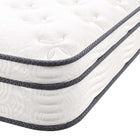 Modway - Jenna 8 po Ressorts et mousse Matelas simple-Garantie limitée d'un an du fabricant