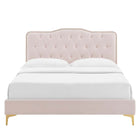 Modway - Amber Touffe Performance Velvet Lit à plateforme jumelle, Rose-Assemblée requise