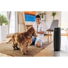 GermGuardian - Purificateur d'air AC4880B avec filtre HEPA-RÉDUCTION DES ODEURS : Le filtre à charbon actif absorbe la fumée, les odeurs de cuisson, les COV et les odeurs d'animaux tout en capturant également les particules plus grosses comme la poussière et les poils pour un air plus frais et plus pur.